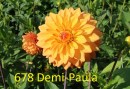 678_Demi-Paula_3_2