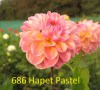 686_Hapet_Pastel_3_2