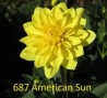 687_American_Sun_6_2