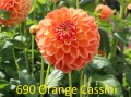 690_Orange_Cassani_1_2